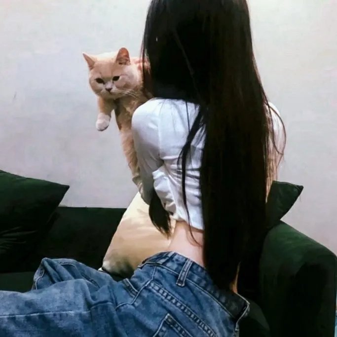 不丹没有枪